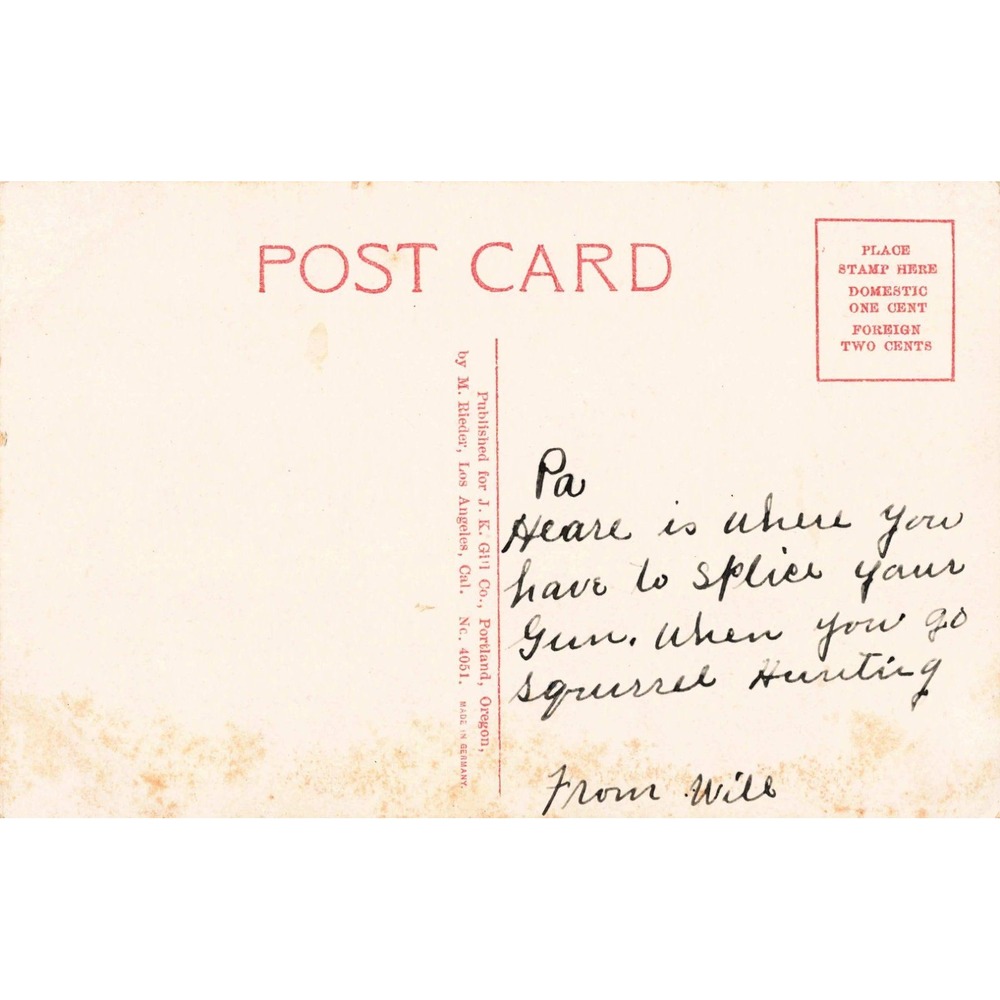 Antique 1908 Glimps of an Oregon Forest Postcard Giant Trees J.K. Gill Co Rieder - Picture 2 of 2